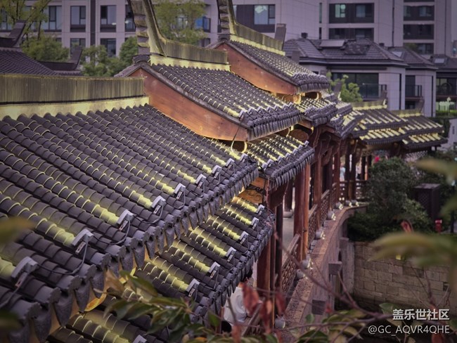 【蟠龍?zhí)斓刂星锞€下攝影活動(dòng)】+活動(dòng)回顧