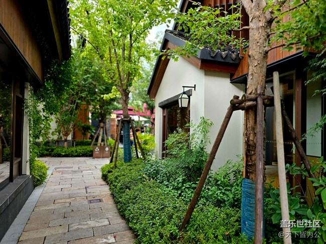 #遠近皆宜——過中秋