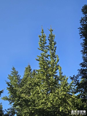 【中秋故事】+休閑一刻