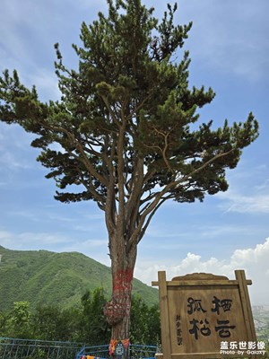 【中秋故事】+一些隨拍