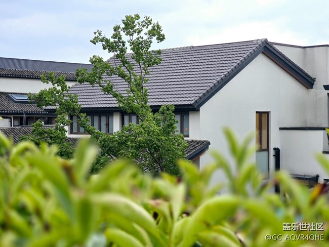 【蟠龍?zhí)斓刂星锞€下攝影活動(dòng)】+活動(dòng)回顧