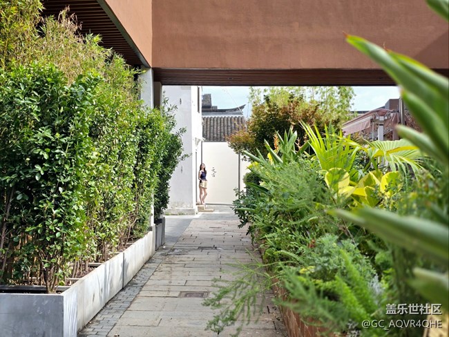 【蟠龍?zhí)斓刂星锞€下攝影活動(dòng)】+活動(dòng)回顧