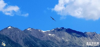 像鷹一樣自由翱翔 