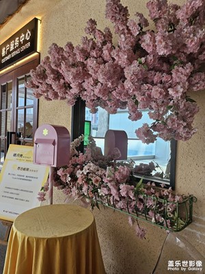 【金九銀十迎雙節(jié)】出門(mén)走走