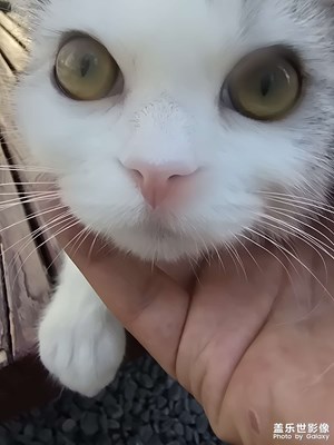 【美好遇見】+遇見????????