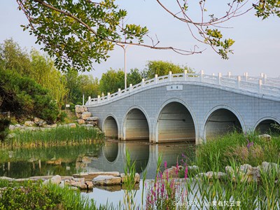 【美好遇見】Galaxy S23Ultra   寂靜的園林（二）