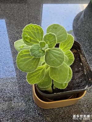 【美好遇見】+生生不息