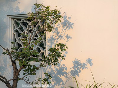 【美好遇見】Galaxy S23Ultra   寂靜的園林（一）