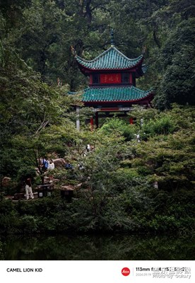 【金九銀十迎雙節(jié)】度