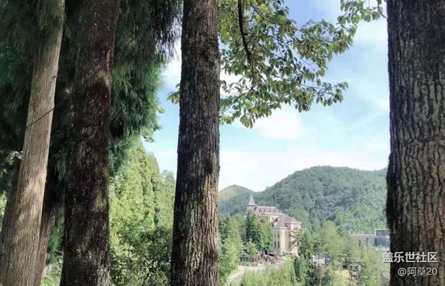 【金色秋天】撿板栗