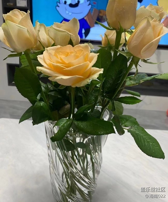 【Galaxy影像】第一期+養(yǎng)花