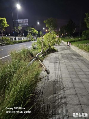 臺(tái)風(fēng)??