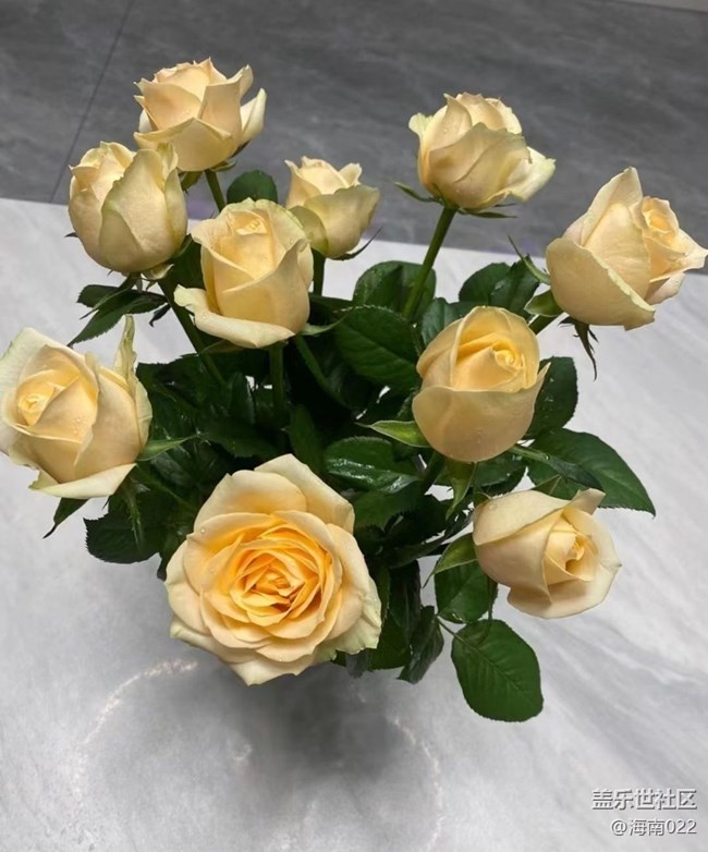 【Galaxy影像】第一期+養(yǎng)花