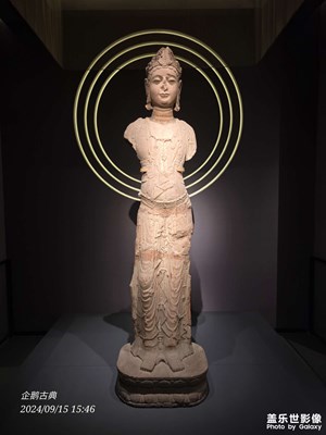 【美好遇見】參觀川大博物館