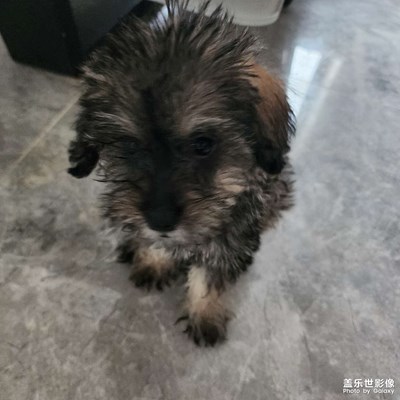 美好遇見 小可愛