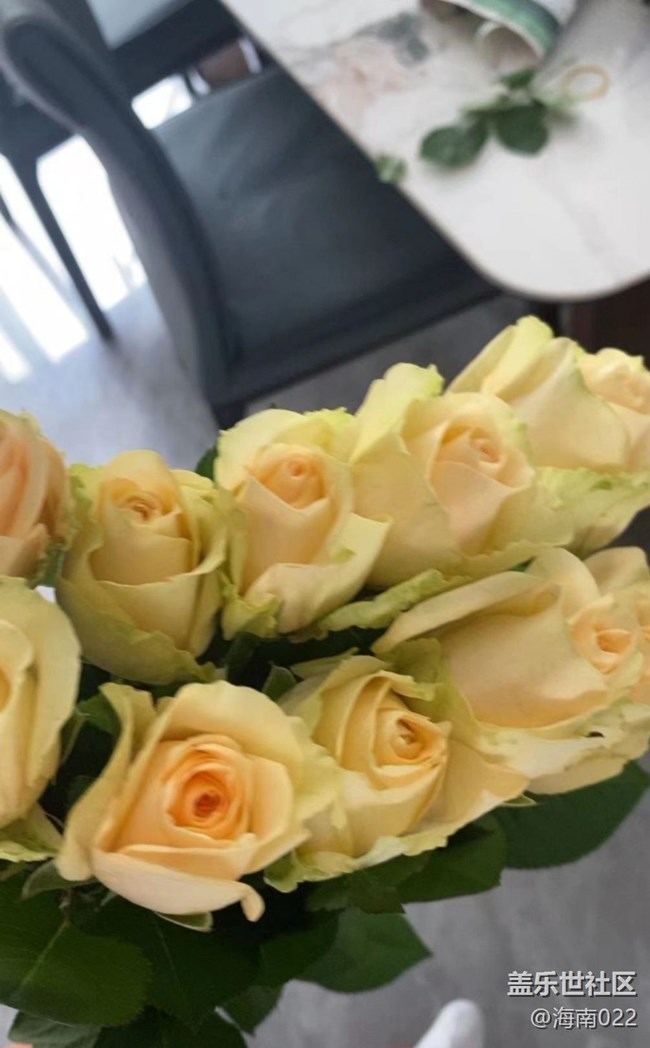 【Galaxy影像】第一期+養(yǎng)花