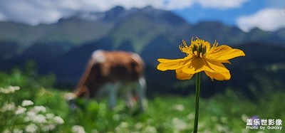 看，美好即將發(fā)生。