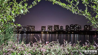 【美好遇見】+遇見棲鳳湖