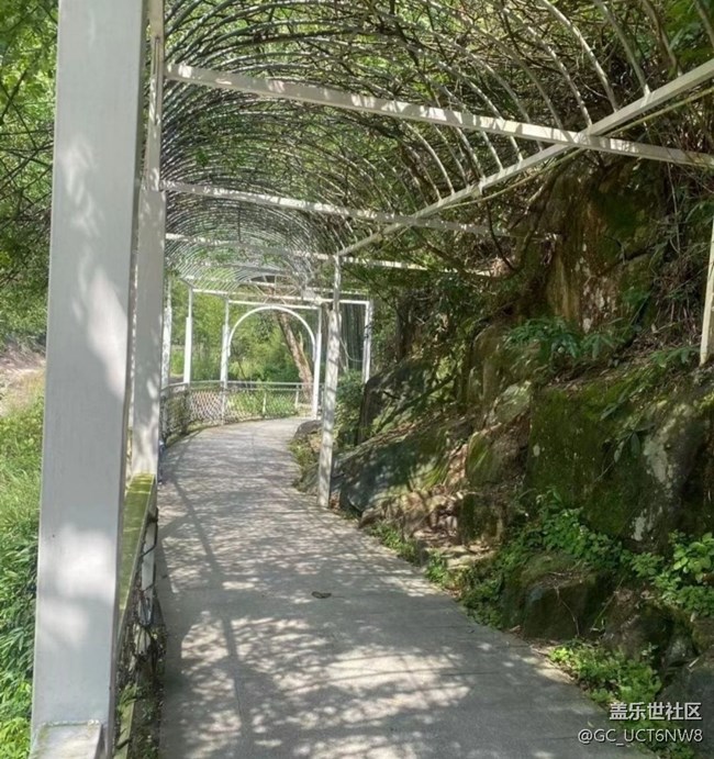 【一起來(lái)打卡秋天】周末