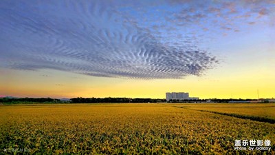 【美好遇見】+遇見深秋