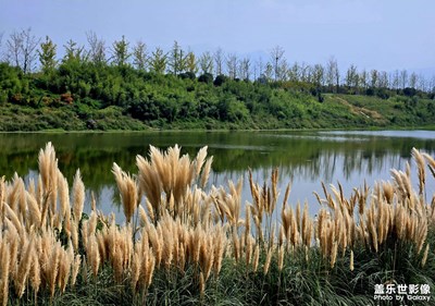 【美好遇見(jiàn)】+遇見(jiàn)灃河梁家灘