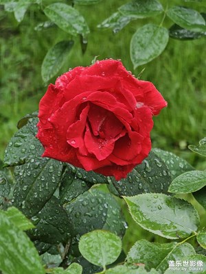 【金九銀十迎雙節(jié)】一場秋雨一場寒