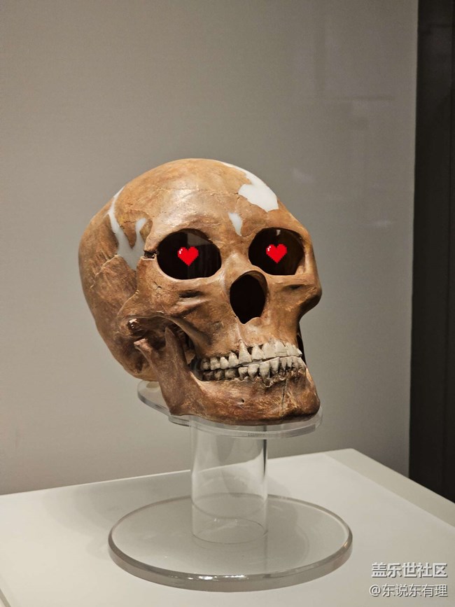 【上海市歷史博物館線下攝影活動】+一起見證歷史與創(chuàng)新