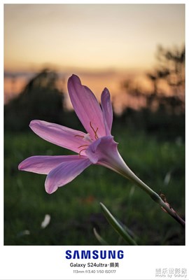 【金九銀十迎雙節(jié)】 秋日漫步