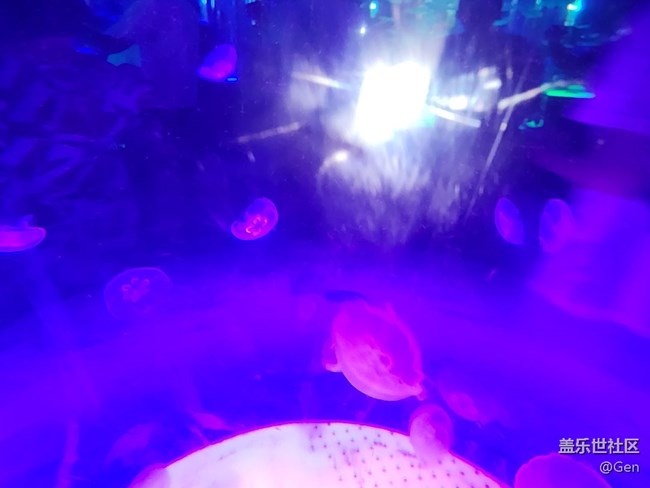 【海洋公園的動物們】9.22水族館的可愛動物之二