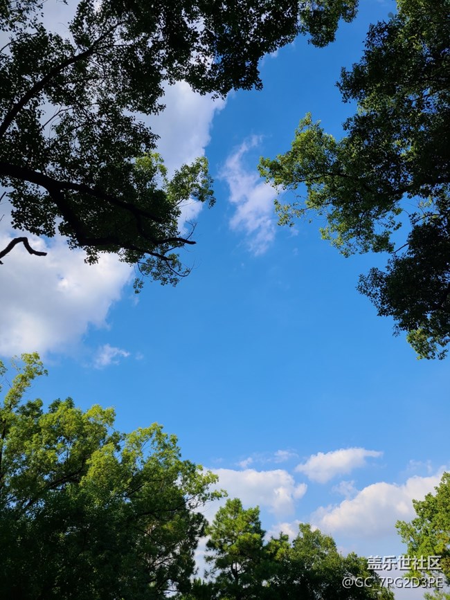 【一起來(lái)打卡秋天】+秋天景象