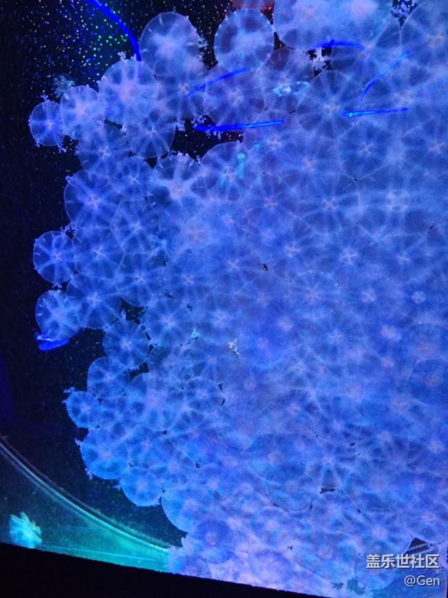 【海洋公園的動(dòng)物們】9.22水族館的可愛動(dòng)物