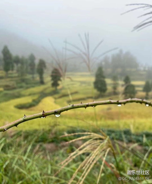 【Galaxy影像】第一期+秋天