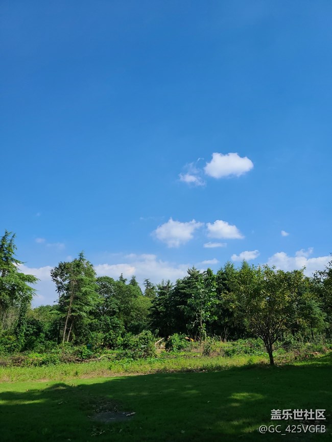 【一起來打卡秋天】+秋天好天氣