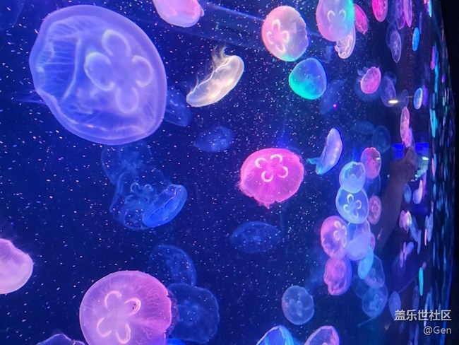 【海洋公園的動(dòng)物們】9.22水族館的可愛動(dòng)物