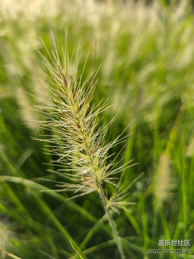 【一起來(lái)打卡秋天】+秋天景象