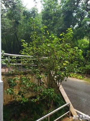 【金九銀十迎雙節(jié)】+公司組織團(tuán)建