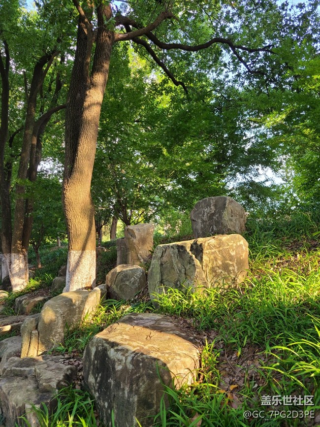 【一起來(lái)打卡秋天】+秋天景象