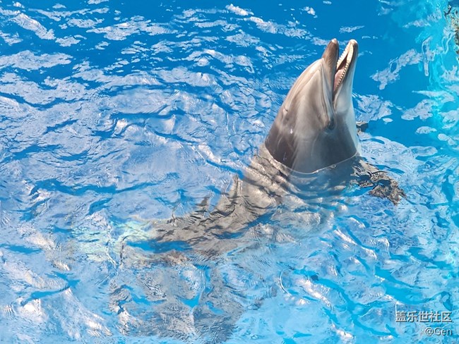 【星部落-同城主題活動-成都海洋世界-后記】用三星手機后，普通的人隨手拍到的動物們