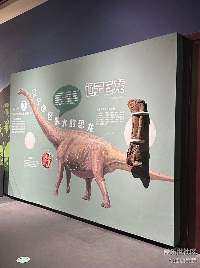 【回顧貼】三星鏡頭下的沈陽博物館，感受文化遺產(chǎn)的魅力
