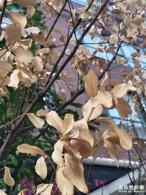 【金九銀十迎雙節(jié)】金九銀十