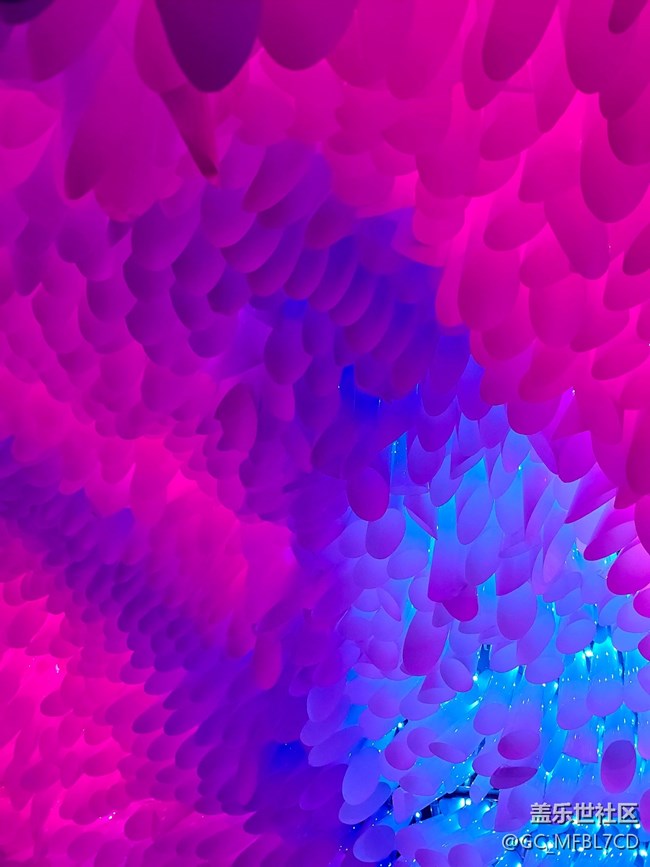 #遠(yuǎn)近皆宜——上海光影節(jié)