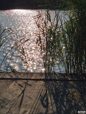 【美好遇見(jiàn)】+遇見(jiàn)美好