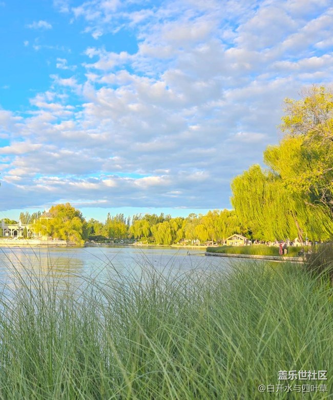 【嘉年華】+BWCC嘉年華與朝陽公園游