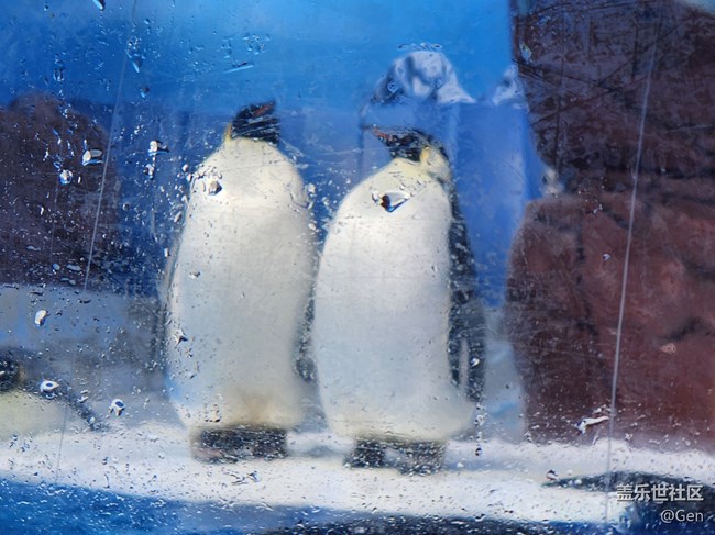 【星部落-同城主題活動-成都海洋世界-后記】用三星手機后，普通的人隨手拍到的動物們