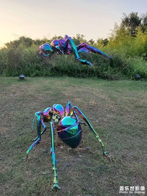 【美好遇見】+創(chuàng)意景觀