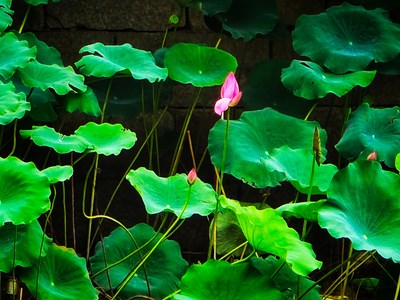 【美好遇見(jiàn)】+中秋小長(zhǎng)假