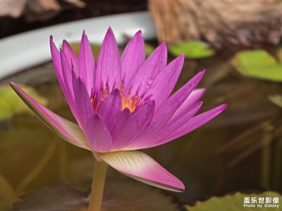 【美好遇見(jiàn)】秋色添香