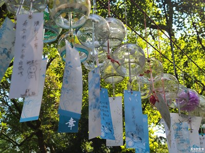 【金九銀十迎雙節(jié)】秋日旅行