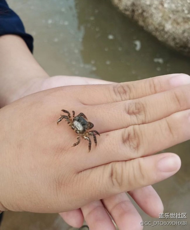 【Galaxy影像】第一期+沙灘