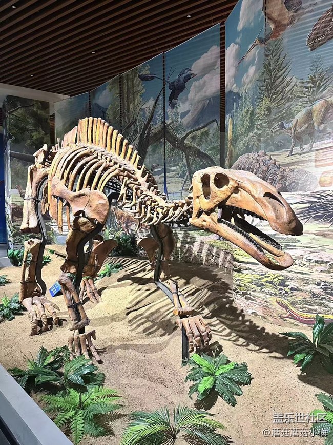 【回顧貼】沈陽市博物館參觀及三星手機暗光拍攝活動